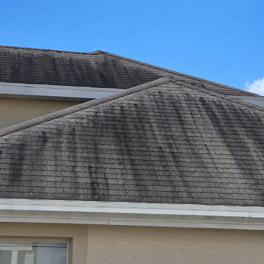 Black algae streaks on a shingle roof